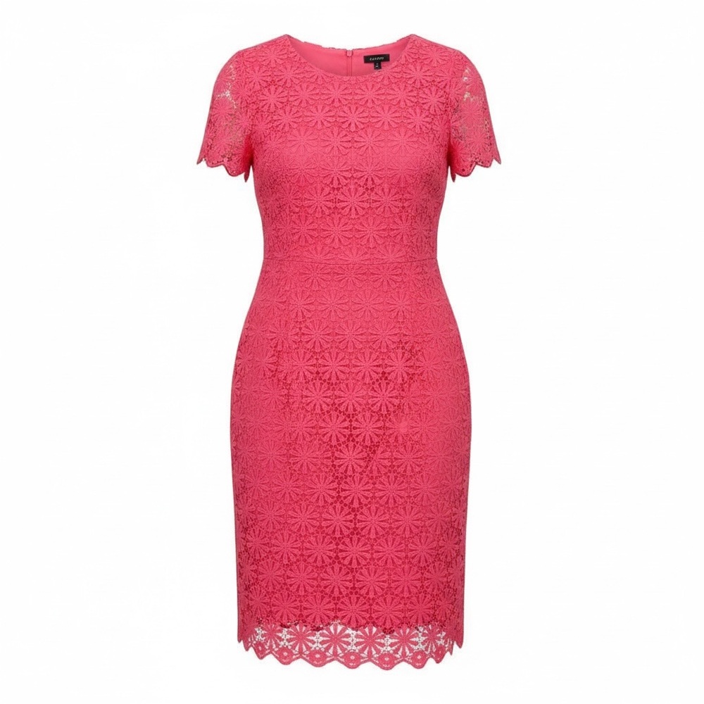 Talbots Pink Floral Lace Mini Dress size 10